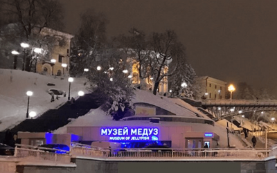 Музей медуз