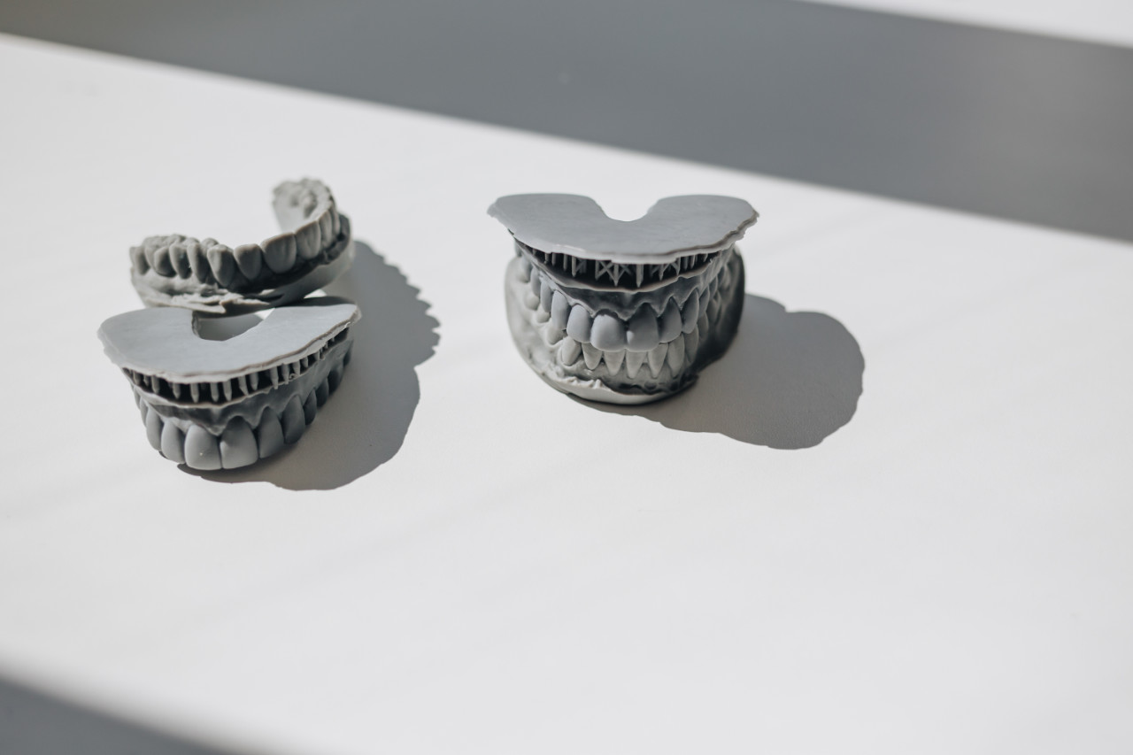 gnathology
